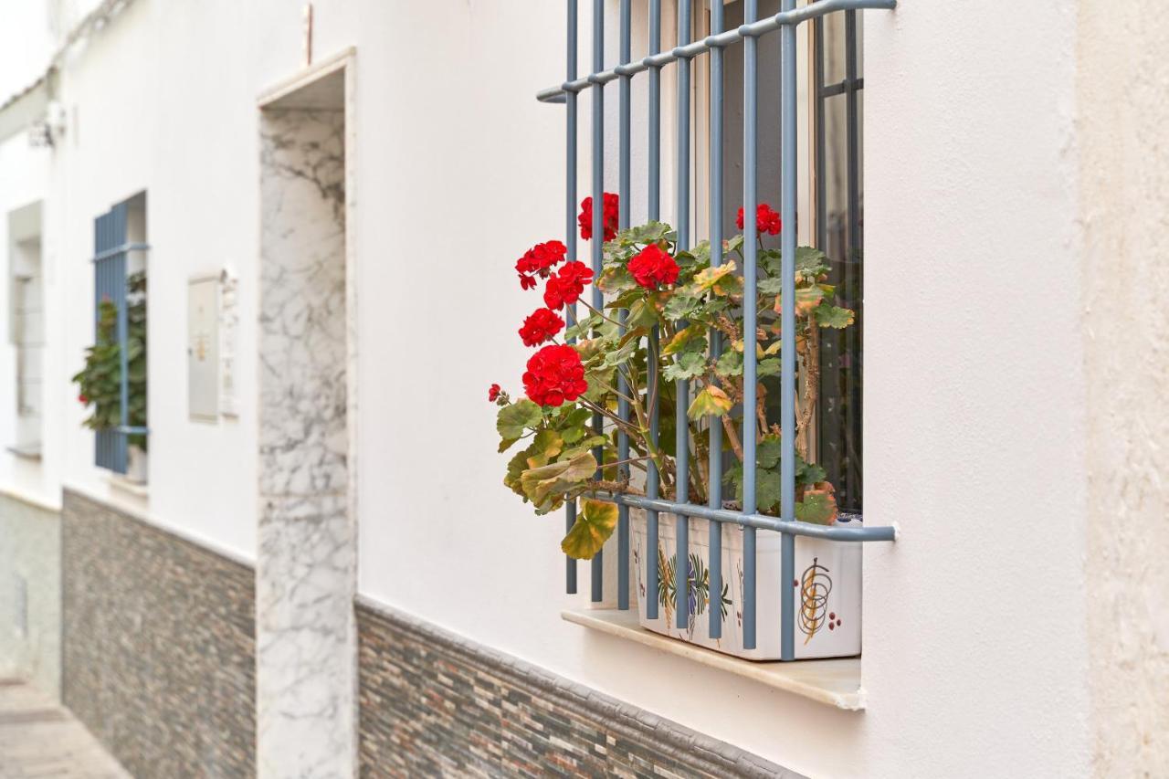 Apartment 250 M From The Beach Almuñécar エクステリア 写真